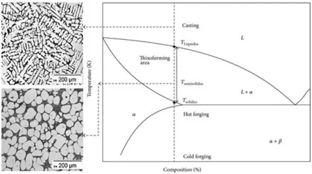 Figure 2. Micrograph of dendritic and globular structures in a semisolid alloy 