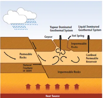Figure 3 shows the processes taking place in  convective hydrothermal systems  where water recharge is provided by precipitations and heat is continuously supplied  by the source at the bottom