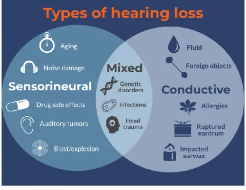 Figure 2. Main leading causes of sensorineural, conductive, and mixed hearing loss. 
