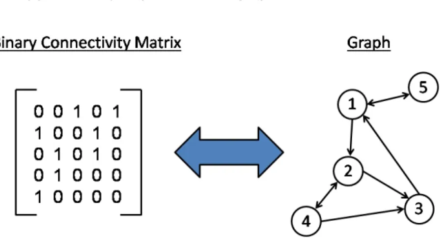 Figure 3.5: Equivalence between a binary connectivity matrix and a graph. In the gure it's considered a directed case, becuase t with data used in this work