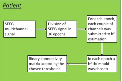 Figure 3.7: A summary of the workow from the SEEG signals to the connec- connec-tivity matrixes.
