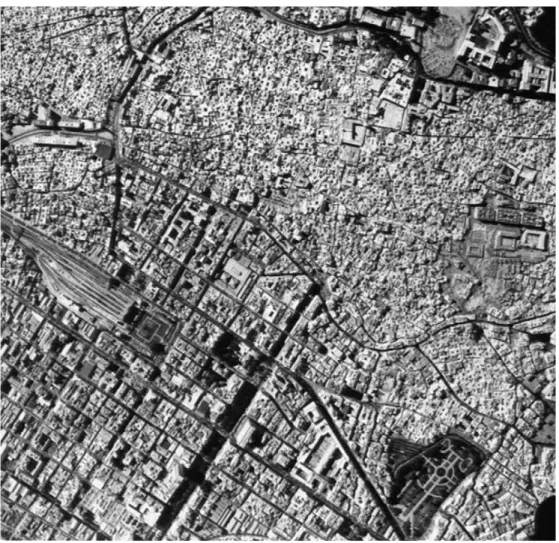 Fig.  4 Traditional Fabric of Historic Tunis in the North and the Orthogonal Fabric of the  Colonial District in the South  