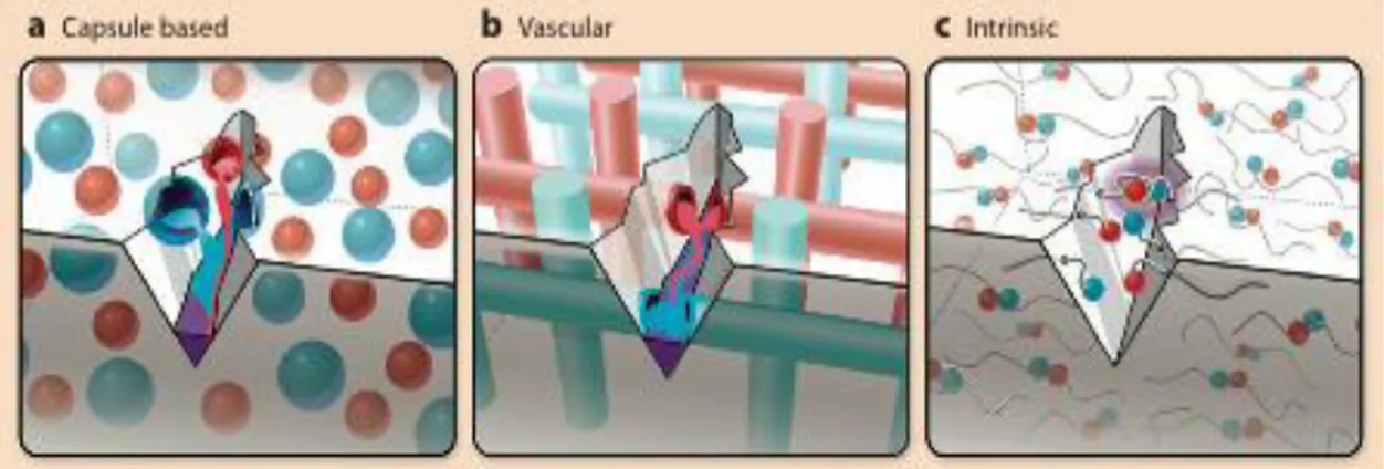 Figure 1-2 : Approaches to self-healing (a) capsule-based (b) vascular (3) intrinsic 