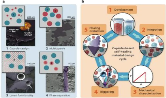 Figure 1-3: Capsule-based self-healing materials, and material design cycle. 