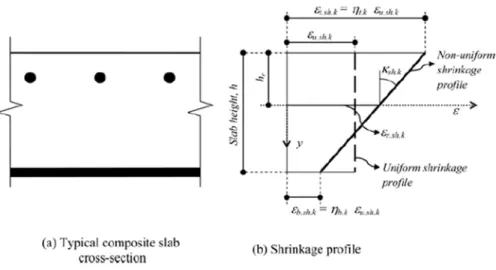 Fig 2.6 Strain variables describing non-uniform free shrinkage on composite slabs 
