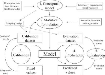 Figure 2.1 Overview of the successive steps of the model building process.[25]