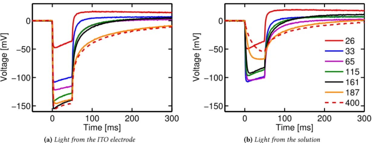 Figure 2.5: Transient photovoltage measurements obtained with devices characterized by different thick- thick-ness of the polymer layer (legend reports the values in nanometers).