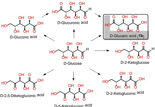 Figure 2.2 - Intermediates involved in the oxidation of D-glucose to D-glucaric acid. 