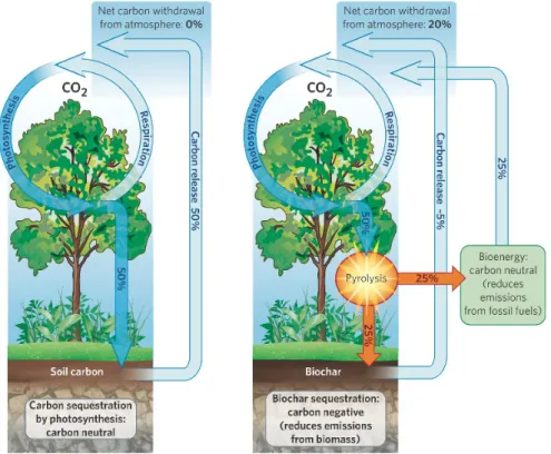 Figure 2.2: Comparision of the carbon cycle between BAU (left) and biochar (right) scenarios