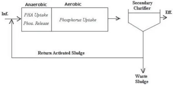 Figure 5. Phoredox (A/O) process, from Metcalf &amp; Eddy, I., Tchobanoglous, G., Burton, F., &amp;