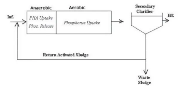 Figure 5. Phoredox (A/O) process, from Metcalf &amp;  Eddy, I., Tchobanoglous, G., Burton, F., &amp; Stensel, H
