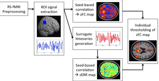 Fig. 1. Overall scheme of the methods used for the individual thresholding of seed-based FC maps 