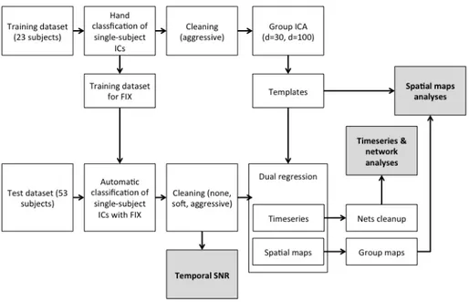Fig. 2. Overall scheme of the methods used for the efficacy evaluation of FIX denoising on healthy controls 