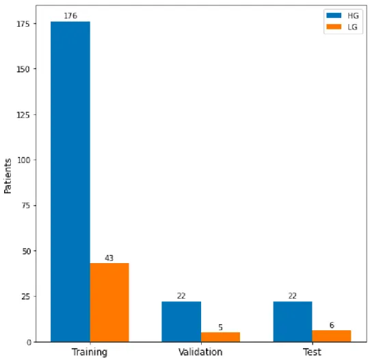 Figure 3.3. Data distribution by set and tumor grade, after the split of BRATS2015 in Training (80%), Validation (10%) and Test (10%) using stratified sampling.