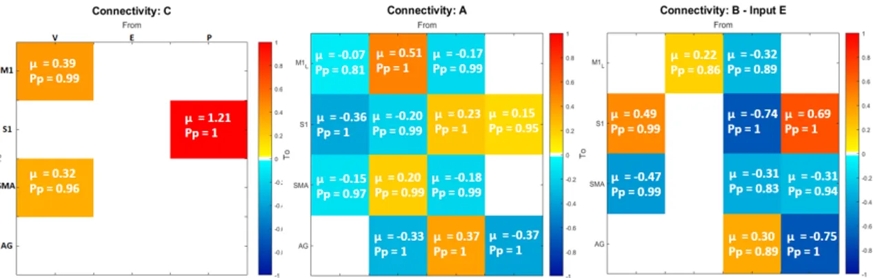 Figure 5: Matrix representation. Estimated posterior means µ and their significance level P p , expressed for each first level matrix (from left to right: C - driving inputs; A - intrinsic connectivity; B - modulatory effects of input E).