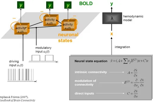 Figure 2.1: A schematic representation summarising the meaning of parameters in the bilinear equation and the forward mapping of neural states into BOLD response