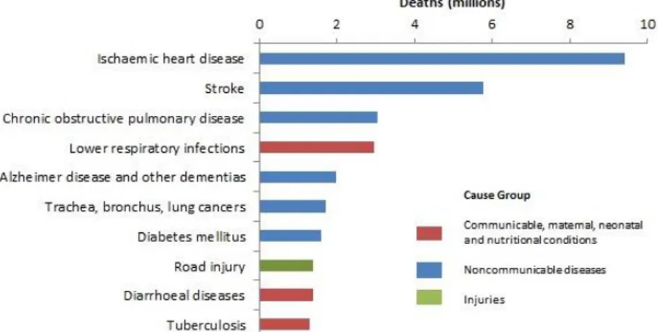 Figure 1.1 Top 10 global causes of deaths, 2016. Ischemic heart disease and stroke are the two major cause  of death worldwide [www.who.int] 