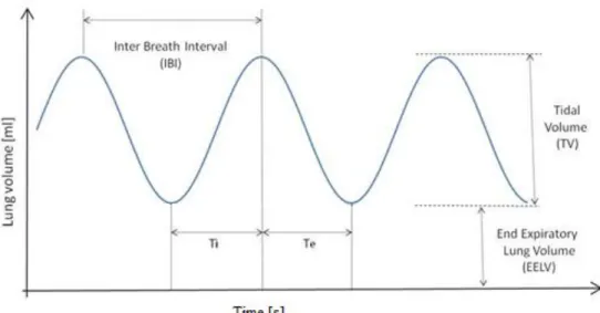 Figure 12 - The parameters examined: IBI, TV and EELV. Ti = inspiratory time,   Te = expiratory time