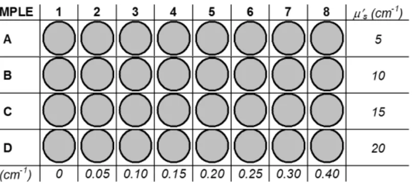 Figure 3.6: MEDPHOT phantoms in matrix form with µ a and µ 0 s in row and column, respectively