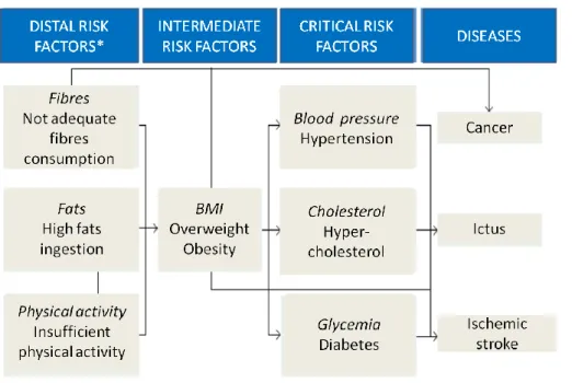 Figure 11: the Chronic Disease Prevention (CDP) model, source BCFN, re-elaborated version on OECD and WHO  data 