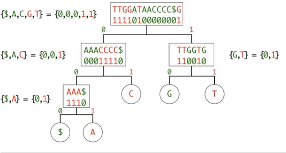 Figure 3.3: Wavelet tree of the sequence TTGGATAACCCC$G