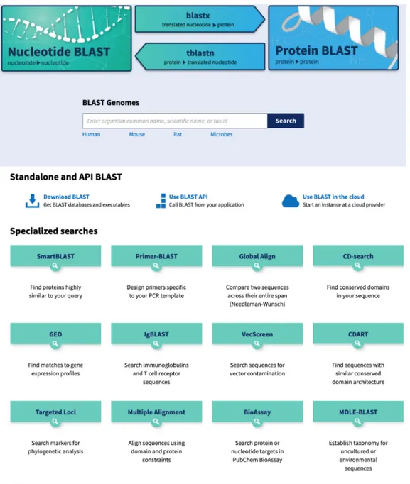 Figure 4.2: BLAST web-based user interface