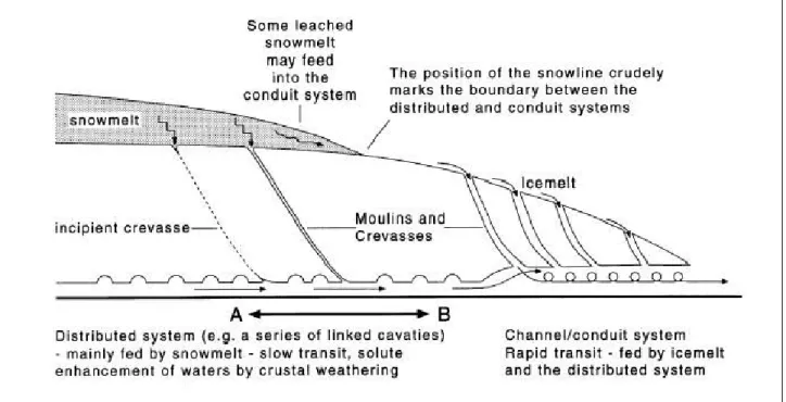 Figura 1.1 – Possibile sezione del sistema idrologico del ghiacciaio, S. Jobard e M. Dzikowski, 2006 