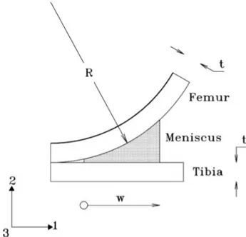 Figura 7. Rappresentazione del menisco con geometria assialsimmetrica    