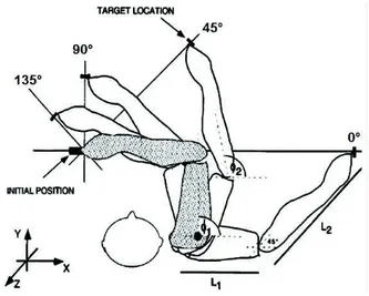 Figura 1.8: Movimento del braccio durante il task di raggiungimento di quattro diversi target.