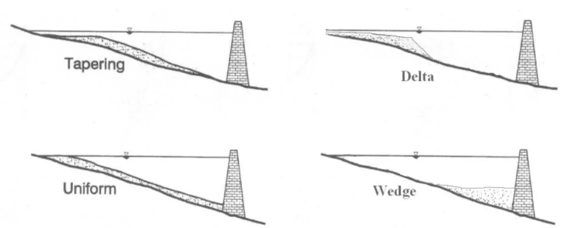 Figura 2.6 Profili longitudinali di deposizione dei sedimenti negli invasi artificiali