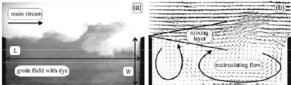 Figura 3.20 Dinamica del flusso tra due pennelli e il corso idrico principale. (a) Vista sul campo (b) campo della  velocità misurato con la LSPIV