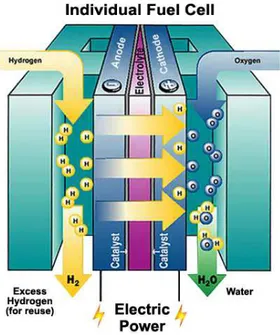 Figura 1. 9: Schema di funzionamento di una fuel cell   Fonte: http://tylerdoesscience.blogs.wm.edu/ 