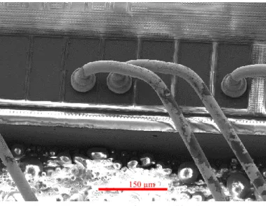 Figura 2.3: Dettaglio SEM del bonding150 µm 