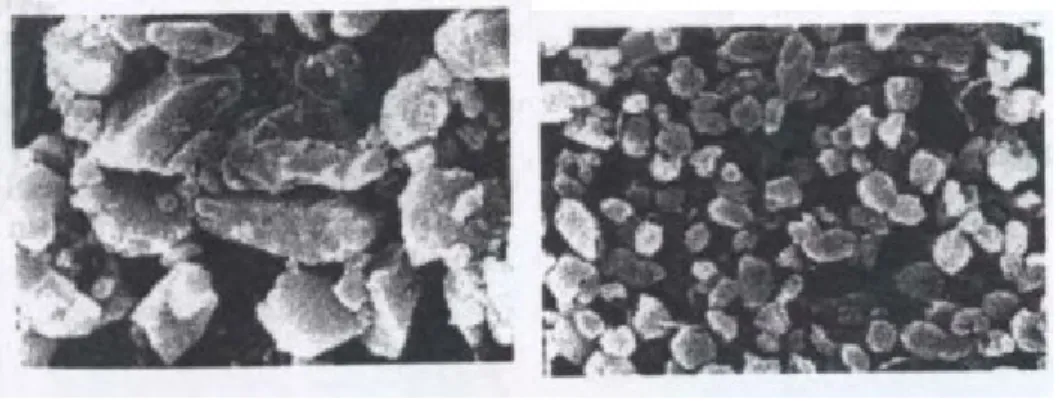 Figura 19: micrografie SEM. A sinistra del carbonato di calcio naturale (marmo) macinato, a destra CaCO 3  artificiale  particellare (calcite prismatica)