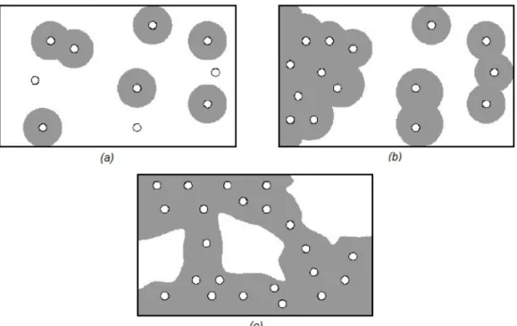 Figura 1.4. Rappresentazione schematica della variazione di morfologia interna al variare della  concentrazione ionica: (a) bassa, (b) intermedia, (c) elevata