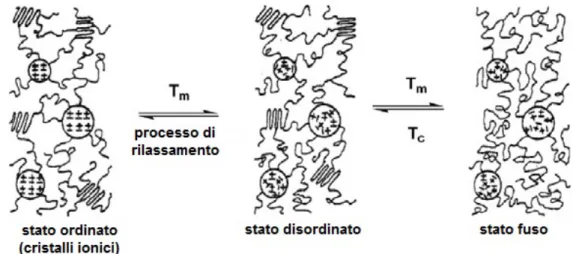 Figura 1.5. Rappresentazione schematica del cambiamento della struttura molecolare al variare  della temperatura[9]