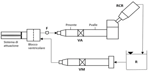 Fig. 3: Schema del set up pulsatile. Sono rappresentati: la sonda del flussimetro (F) attraverso la quale  viene misurata la portata, l’alloggiamento della valvola aortica (VA), il componente RCR, il reservoir  (R) e l’alloggiamento della valvola mitrale (
