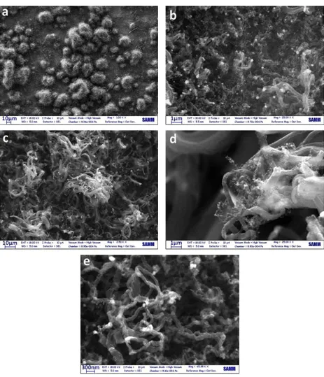 Fig.  ‎ 1.16 SEM micrographs of sample OR in different magnifications. 