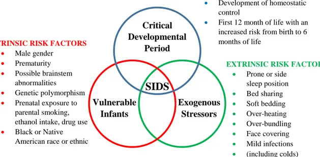 Figure 1.1.1 Triple-risk model for SIDS by Filiano et al.  