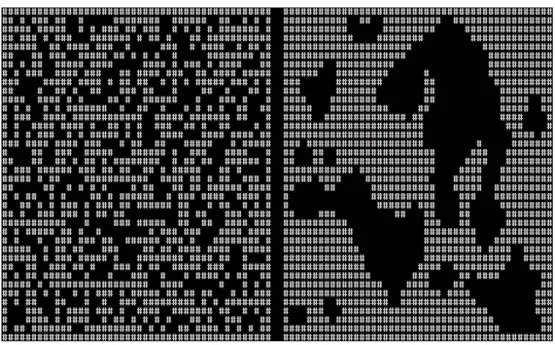Figure 3.3: Cellular Automata: initial state and final result