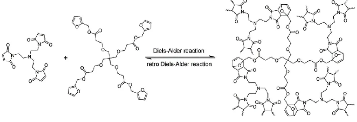 Figure 1.3.3. Furan and maleimide bases polymers using reversible DA reactions [38] 