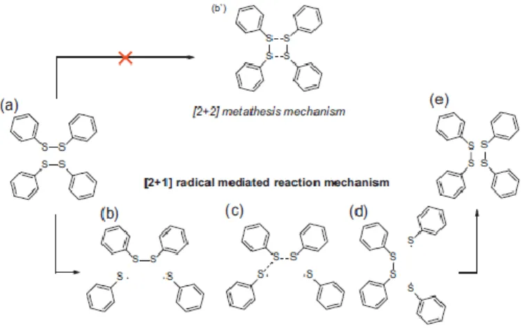 Figure 1.3.8. Schematic representation of the aromatic disulphide exchange reaction mechanisms [23] 