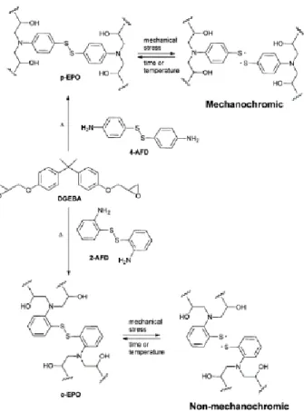 Figure 1.3.15. Synthetic procedure and chemical structure of the p-EPO and o-EPO [25] 