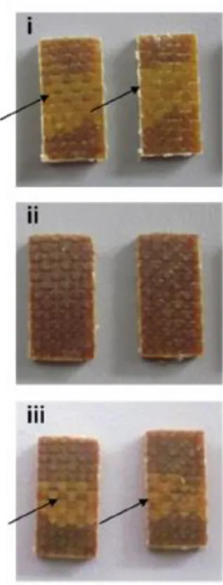 Figure 1.3.19. Samples of FRPs subjected to delamination (i) First ILSS (ii) Under heat and pressure (iii)  Second ILSS test 
