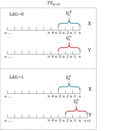 Figure 2-6: TE calculation at different lags. On the top panel, the vectors [
