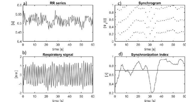 Figure 2-7: a): The RR series (extracted from the ECG signal) in a 60 seconds window. b): Respiratory signal for  the same window described in (a)