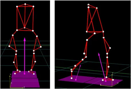 Figure 3.1: Biomechanical representation of the body using a stick model during standing (left) and walking (right)