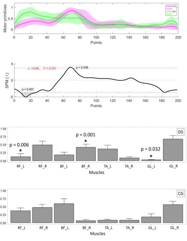 Figure 4.2: Synergy 2. Weight acceptance - Heel off. Top: mean and standard deviation of 11/11 and 10/10 motor primitives in DS (green) and CG (red) respectively and its statistical comparison