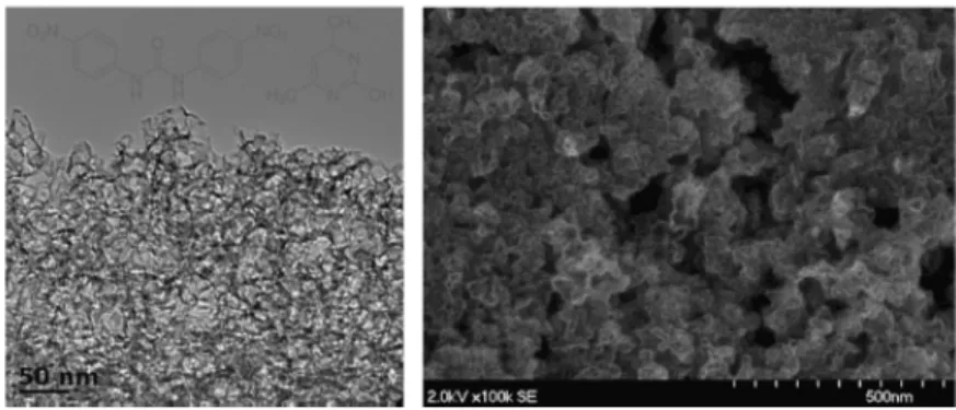 Fig. 2.2.: TEM and SEM images for the Fe-NCB CCL