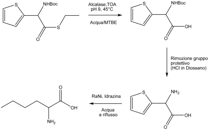 Figura 2 - Sintesi norLecina a partire da NBoc-2-ThGlySEt 